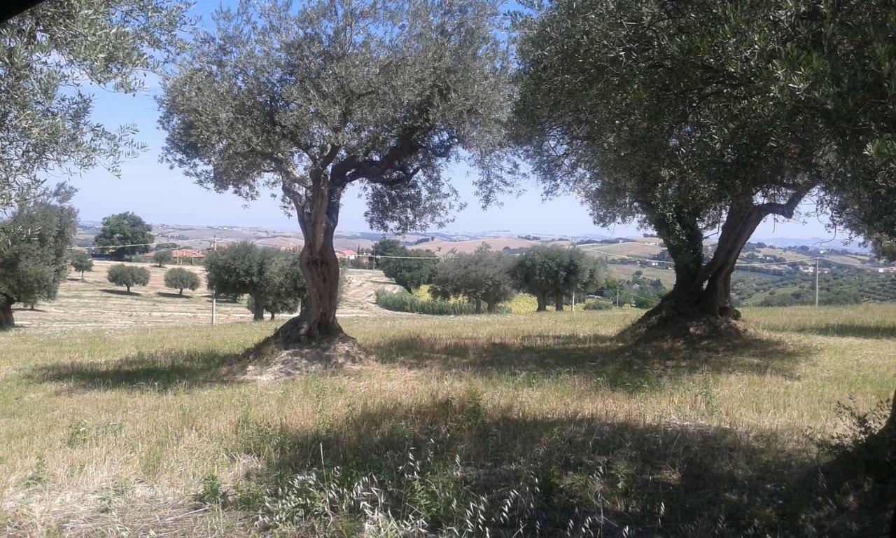 Amor Di Lavanda Cingoli Luaran gambar