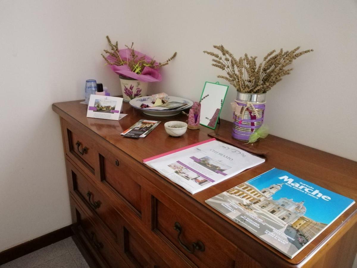 Amor Di Lavanda Cingoli Luaran gambar