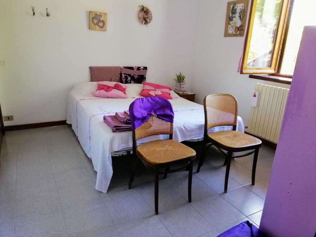 Amor Di Lavanda Cingoli Luaran gambar