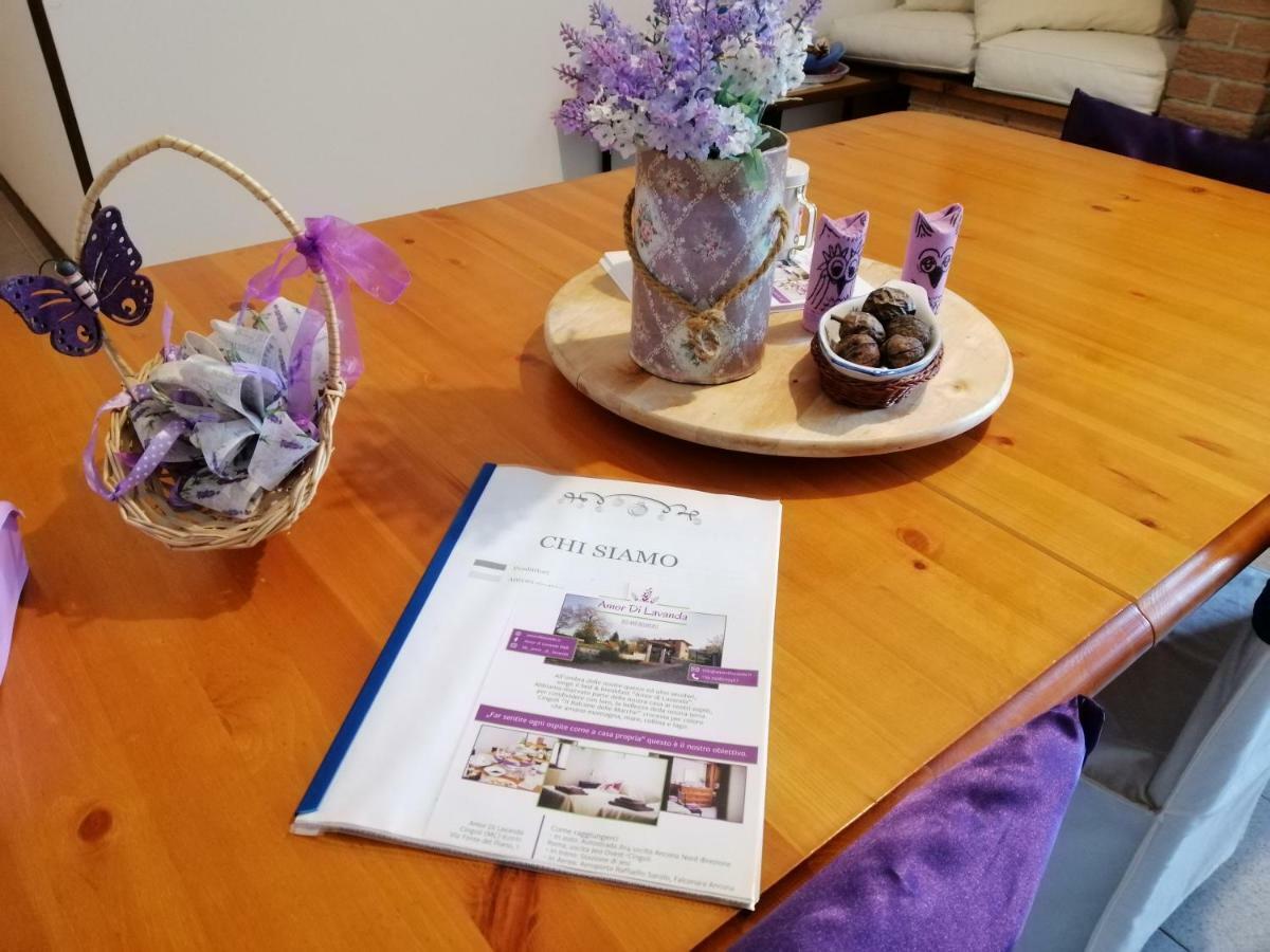 Amor Di Lavanda Cingoli Luaran gambar