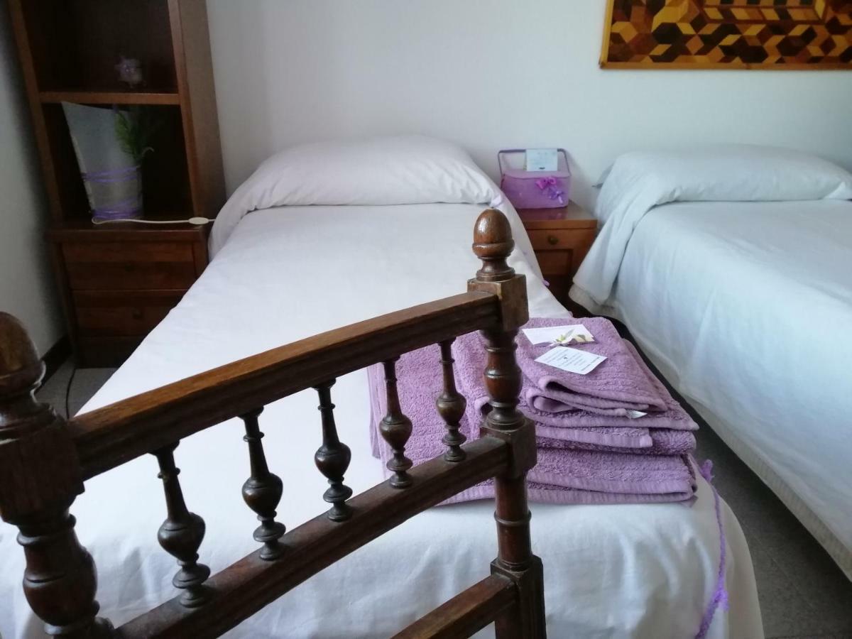 Amor Di Lavanda Cingoli Luaran gambar